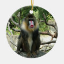 Pesquisar por meus amigos ornamentos Crianças