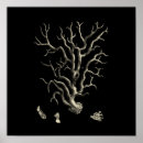 Pesquisar por fundo oceano pôsteres Recife