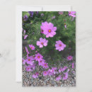 Pesquisar por liso cartoes Flores
