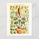 Pesquisar por botanicals cartoes postais Colheita