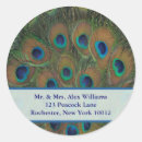 Pesquisar por pavão adesivos Pântano