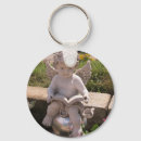 Pesquisar por anjo chaveiros Qualquer pessoa