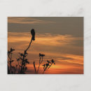 Pesquisar por asas cartoes postais Carta