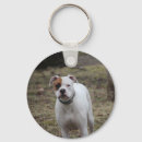 Pesquisar por boxer chaveiros Canino