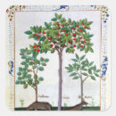 Pesquisar por curativo adesivos Robinet