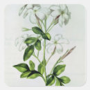 Pesquisar por julio adesivos Nicolas