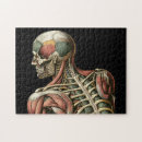 Pesquisar por anatomia humana quebra cabecas Biologia
