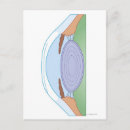 Pesquisar por cirurgia pôsteres Consultório médico