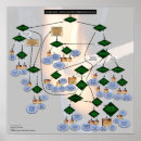 Pesquisar por linguística pôsteres Inglês