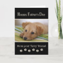 Pesquisar por paws cartoes For pets
