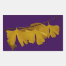 Pesquisar por ginkgo adesivos Biloba