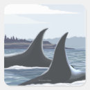 Pesquisar por baleia orca adesivos Baleias