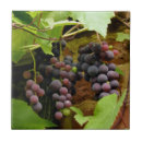 Pesquisar por uva azulejos Fruta