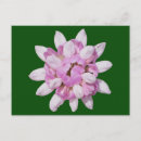 Pesquisar por coroa cartoes postais Flor