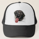 Pesquisar por retriever bones Filhote de cachorro