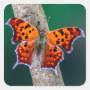 Pesquisar por borboleta bonito adesivos Pontos
