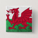Pesquisar por passeios botons Cymru