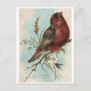 Pesquisar por vintage bird cartoes postais Flores