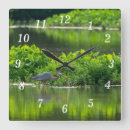 Pesquisar por hera relogios de parede Vida selvagem