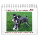 Pesquisar por schnauzer diminuto Cães
