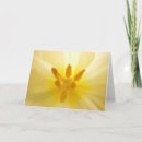 Pesquisar por chris cartoes Saudação