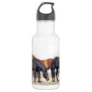 Pesquisar por criação garrafa agua Cavalos