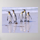 Pesquisar por poster dos pinguins pôsteres Qualquer pessoa