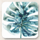 Pesquisar por palmas porta copos Botânica