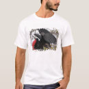 Pesquisar por de equador roupas América