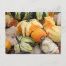 Pesquisar por remendo cartoes postais Abóbora