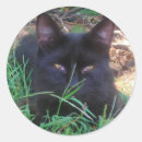 Pesquisar por gato preto assustador adesivos O dia das bruxas