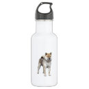 Pesquisar por cão garrafa agua Animais de estimação