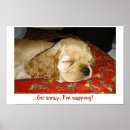 Pesquisar por napping Animais