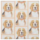 Pesquisar por beagle artesanato material Fofofo