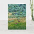 Pesquisar por crane cartoes Natureza