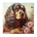Pesquisar por cocker spaniels azulejos Cães