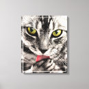 Pesquisar por pets impressão de canvas Gatinho