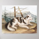 Pesquisar por pintura do leão pôsteres Mamífero