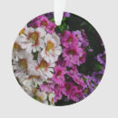 Pesquisar por borboleta branca ornamentos Qualquer pessoa