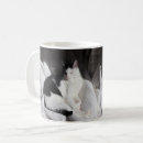 Pesquisar por gato branco preto canecas Gato de smoking