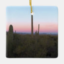 Pesquisar por sol lua ornamentos Deserto
