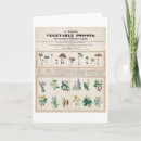 Pesquisar por vegetais cartoes Vintage