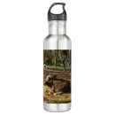 Pesquisar por vaca do garrafa agua Leite