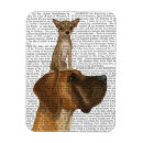 Pesquisar por chihuahua imas Antigas