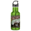Pesquisar por cogumelo garrafa agua Floresta