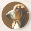 Pesquisar por cão de basset Animal de estimação