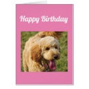 Pesquisar por goldendoodle cartoes Rabisco