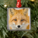 Pesquisar por raposa ornamentos Animal