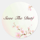 Pesquisar por cereja rosa adesivos Flores de primavera