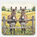 Pesquisar por atrás de adesivos Burro